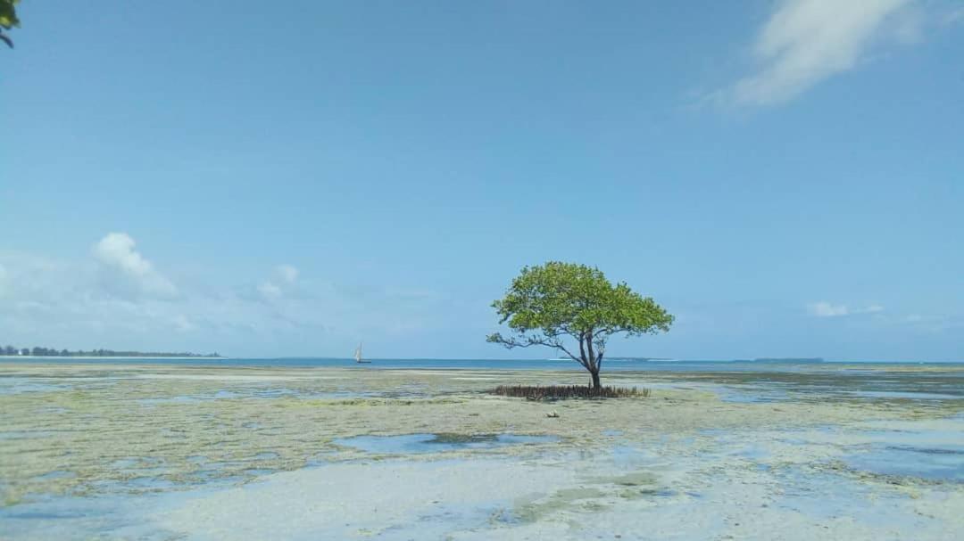 L&J Modern Backpackers Kigamboni Beach House Bed & Breakfast ดาร์เอสซาลาม ภายนอก รูปภาพ